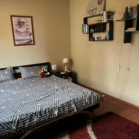 Apartament Untold Festival * كلوج-نابوكا
